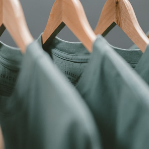 Plain t-shirts on wooden hangers in a boutique